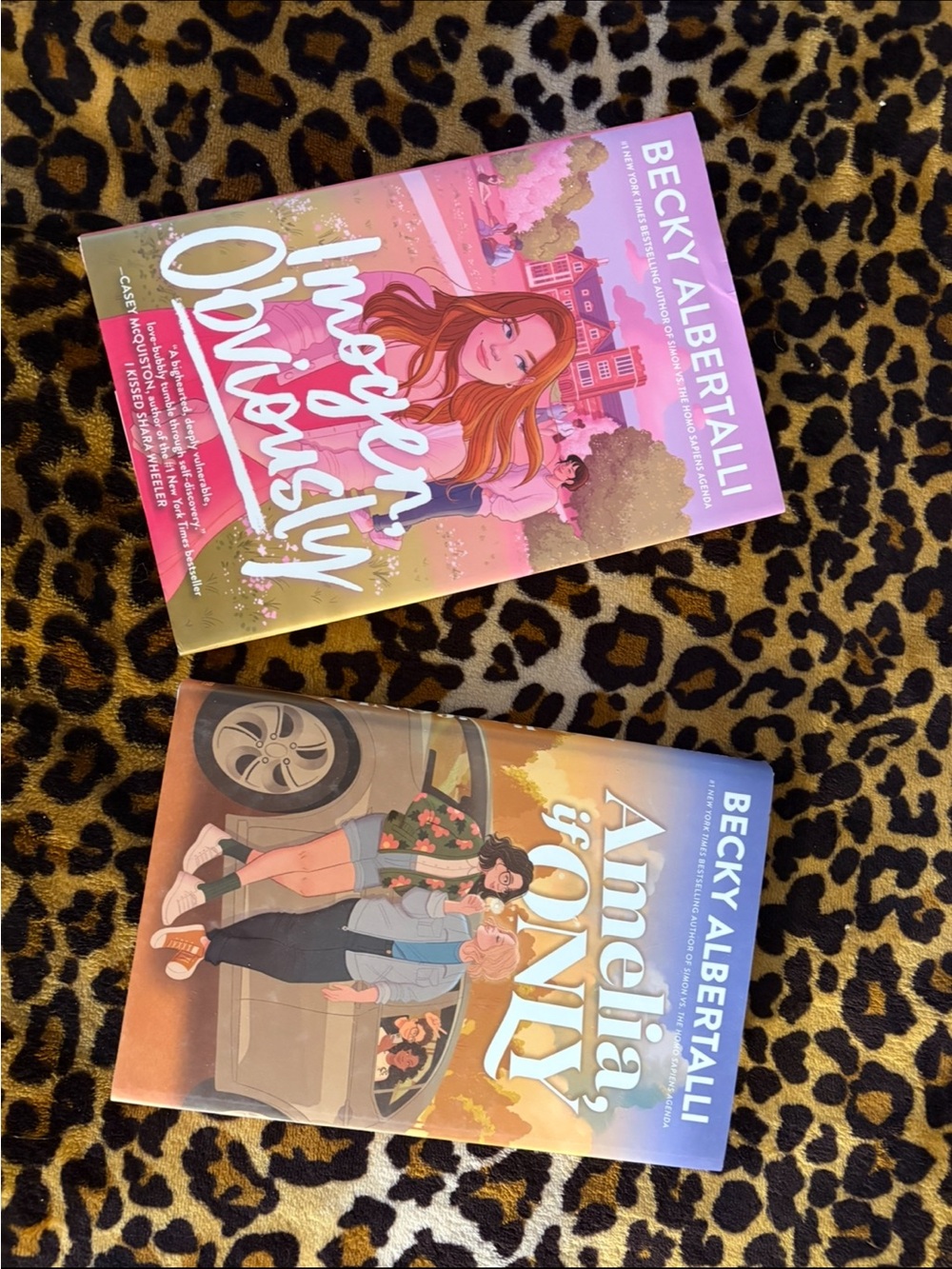 Becky albertalli book set